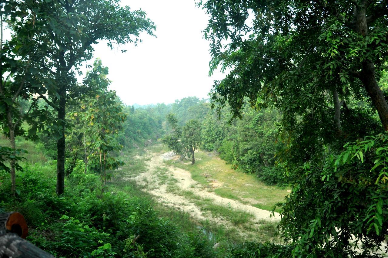 The Riverwood Forest Retreat Pench Khawāsa Exterior foto