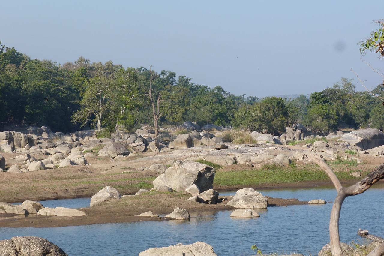 The Riverwood Forest Retreat Pench Khawāsa Exterior foto